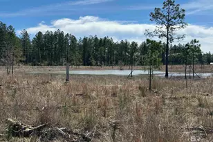 3 County Road 64, Robertsdale, AL 36567 - Photo 1