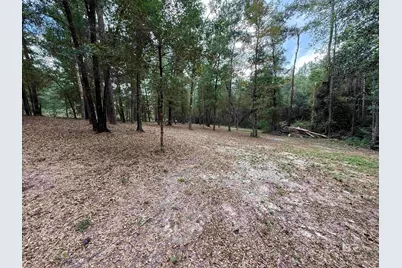 43807 State Highway 225, Bay Minette, AL 36507 - Photo 1