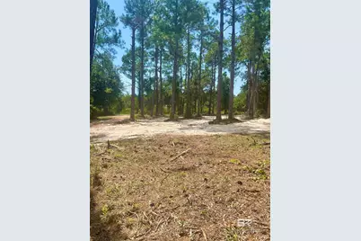 Robinson Lane, Gulf Shores, AL 36542 - Photo 1