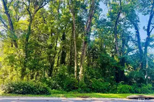 0 Rock Creek Dr, Fairhope, AL 36532 - Photo 1