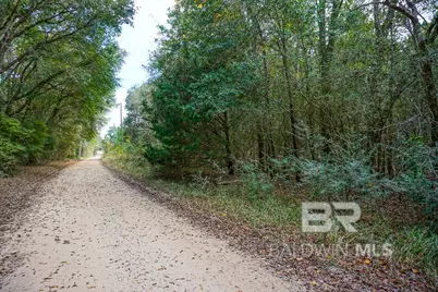 0 Smith Young Road, Mobile, AL 36695 - Photo 1