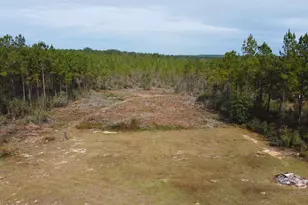 26641 Linholm Rd, Robertsdale, AL 36567 - Photo 1