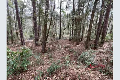 0 North Circle, Fairhope, AL 36532 - Photo 1