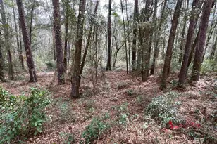 0 North Circle, Fairhope, AL 36532 - Photo 1