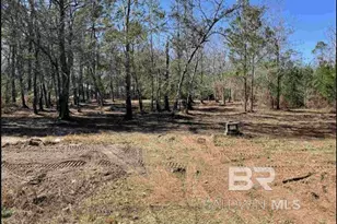 0 Mary Ann Beach Rd, Fairhope, AL 36532 - Photo 1