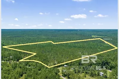 51290 Propst Road, Bay Minette, AL 36507 - Photo 1