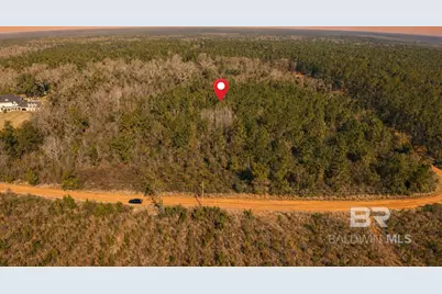 0 Brady Road, Bay Minette, AL 36507 - Photo 1