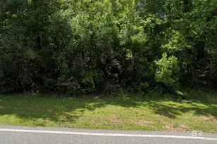 0 Ceiba Grande St, Fairhope, AL 36532 - Photo 1