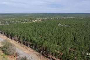 0 Cowpen Creek Rd, Robertsdale, AL 36567 - Photo 1