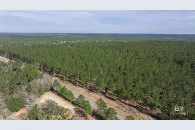 0 Cowpen Creek Road, Robertsdale, AL 36567 - Photo 1