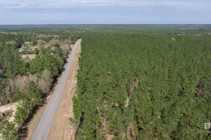 0 Cowpen Creek Rd, Robertsdale, AL 36567 - Photo 1