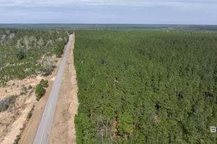 0 Cowpen Creek Rd, Robertsdale, AL 36567 - Photo 1