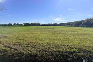 0 Weeks Rd, Foley, AL 36535 - Photo 1