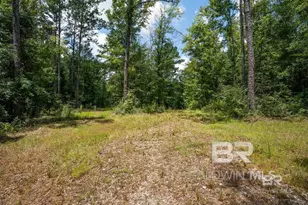 0 Jimmy Faulkner Dr, Spanish Fort, AL 36527 - Photo 1