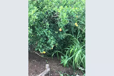 94-1100 Kunia Road #56-I, Waipahu, HI 96797 - Photo 1