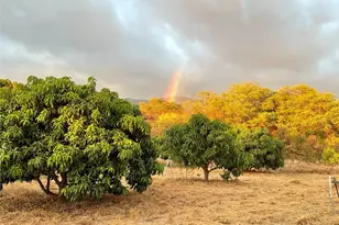 85-775A Waianae Valley Rd, Waianae, HI 96792 - Photo 19