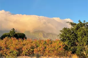 85-775A Waianae Valley Rd, Waianae, HI 96792 - Photo 25