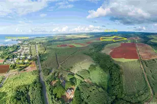 64-486 Kamehameha Hwy, Haleiwa, HI 96712 - Photo 1