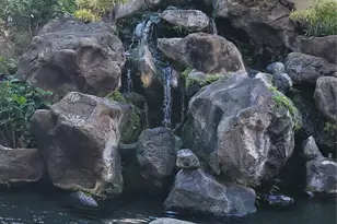 1212 Nuuanu Ave, Honolulu, HI 96817 - Photo 25