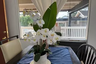 66-490 Kilioe Pl, Haleiwa, HI 96712 - Photo 7