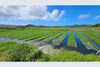 56-1081 Kamehameha Highway, Kahuku, HI 96731 - Photo 9