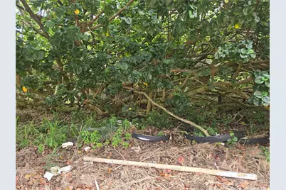 55-3327 Akoni Pule Highway, Hawi, HI 96719 - Photo 9