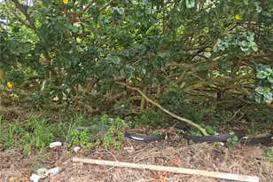 55-3327 Akoni Pule Hwy, Hawi, HI 96719 - Photo 9