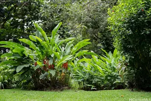 3242 Pelekane Dr, Honolulu, HI 96817 - Photo 21