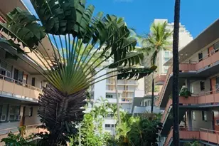 417 Nohonani St, Honolulu, HI 96815 - Photo 13