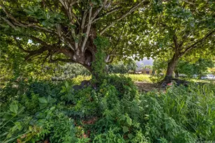 53-030 & 53-032 Pokiwai Pl, Hauula, HI 96717 - Photo 17