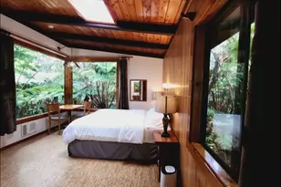 11-3832 2nd St, Volcano, HI 96785 - Photo 9