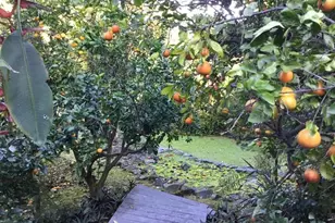 73-1402 Hikimoe St, Kailua Kona, HI 96740 - Photo 11