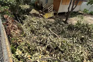 1751 Ahuula St, Honolulu, HI 96819 - Photo 5