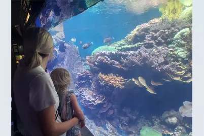 134 Kapahulu Avenue #405, Honolulu, HI 96815 - Photo 11