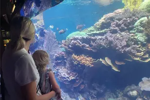 134 Kapahulu Ave, Honolulu, HI 96815 - Photo 11