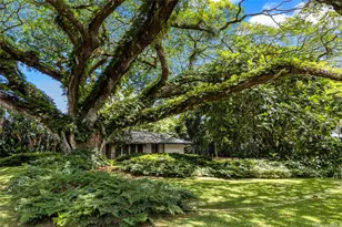 187 Dowsett Ave, Honolulu, HI 96817 - Photo 3