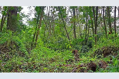 0 Ginger Road, Pahoa, HI 96778 - Photo 1