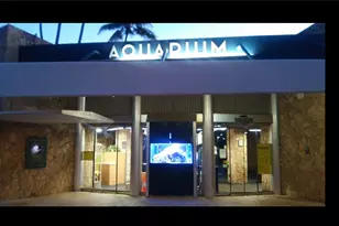 2947 Kalakaua Ave, Honolulu, HI 96815 - Photo 19