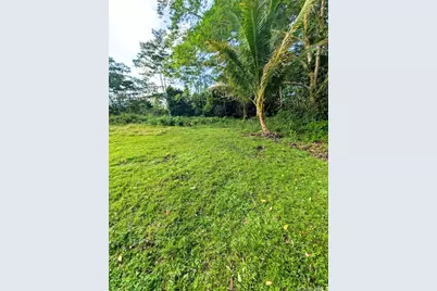 14-3276 Pualaa Road, Pahoa, HI 96778 - Photo 15