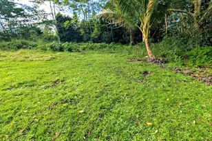 14-3276 Pualaa Rd, Pahoa, HI 96778 - Photo 15