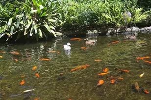 1511 Nuuanu Ave, Honolulu, HI 96817 - Photo 23