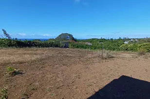 2676 Kalanikahua Rd, Haiku, HI 96708 - Photo 21