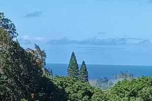 2676 Kalanikahua Rd, Haiku, HI 96708 - Photo 3