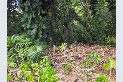 1732 Glen Avenue, Wahiawa, HI 96786 - Photo 7