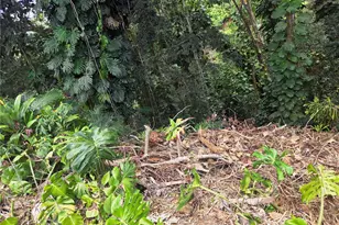 1732 Glen Ave, Wahiawa, HI 96786 - Photo 7