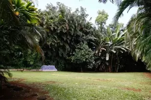 3821 Haulani Pl, Princeville, HI 96722 - Photo 19