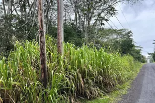 - 14th Ave, Keaau, HI 96749 - Photo 3