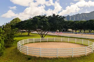 41-569 Makakalo St, Waimanalo, HI 96795 - Photo 9