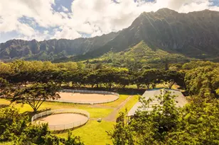 41-569 Makakalo St, Waimanalo, HI 96795 - Photo 5