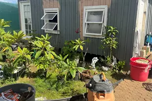 53-720 Kamehameha Hwy, Hauula, HI 96717 - Photo 7